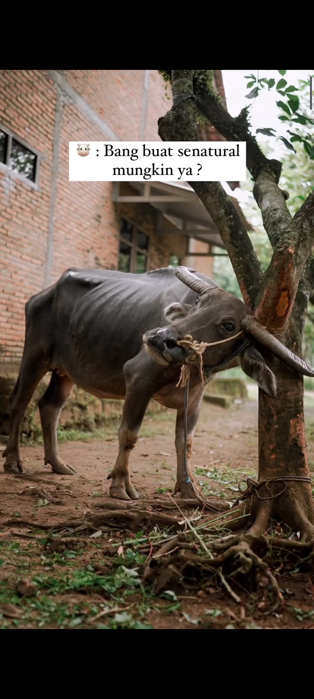 Screenshot 2024 04 27 10 43 55 737 com.miui .videoplayer