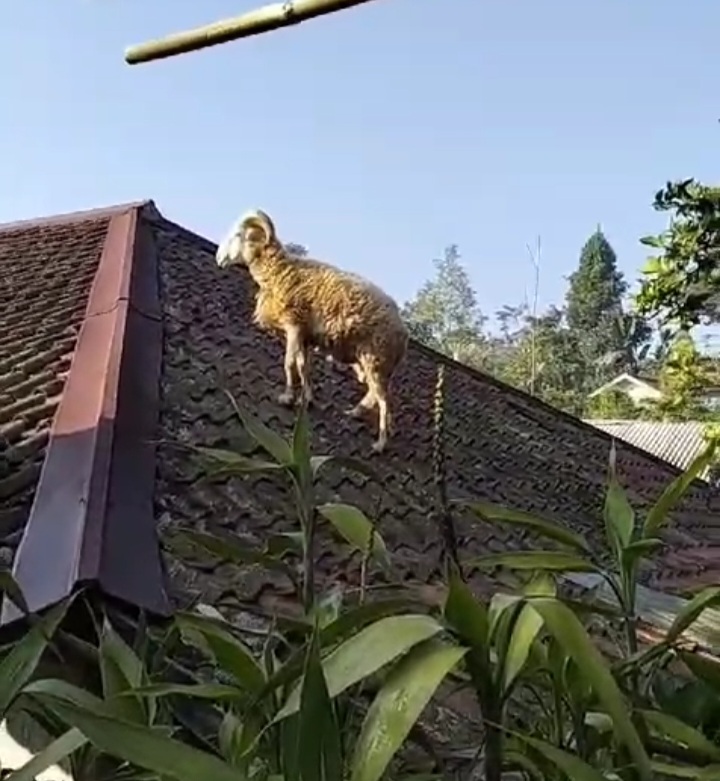 Screenshot 20240617 195212 Video Player