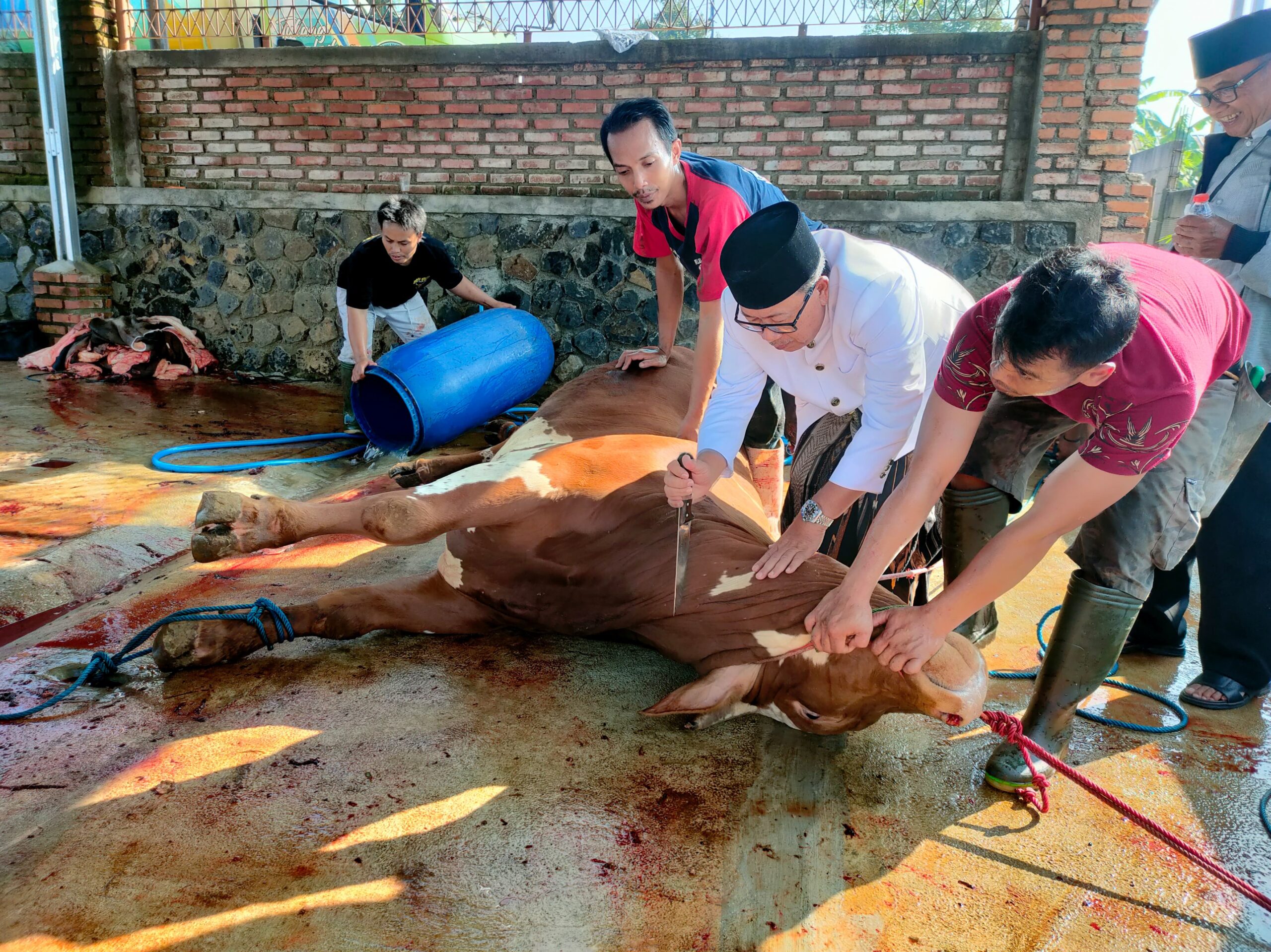 WhatsApp Image 2024 06 17 at 14.42.58 scaled