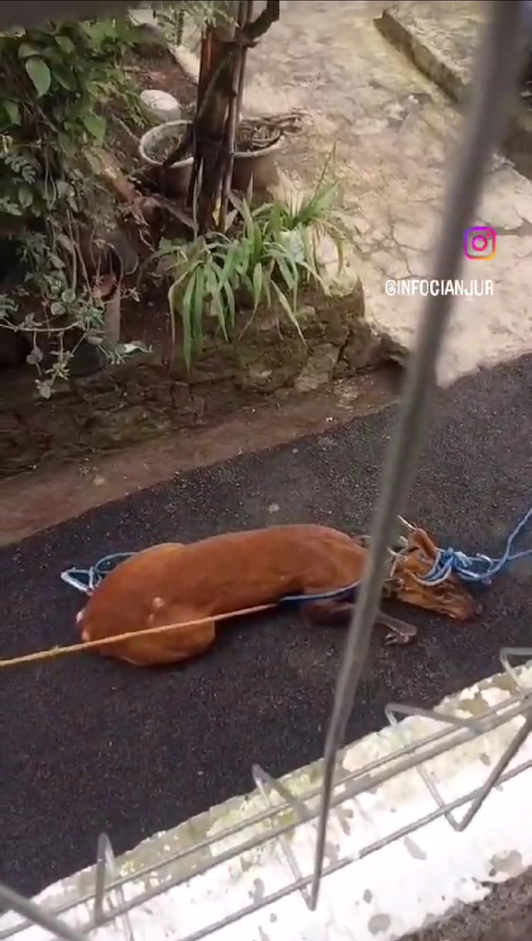 Screenshot 2024 07 02 19 09 33 444 com.whatsapp edit