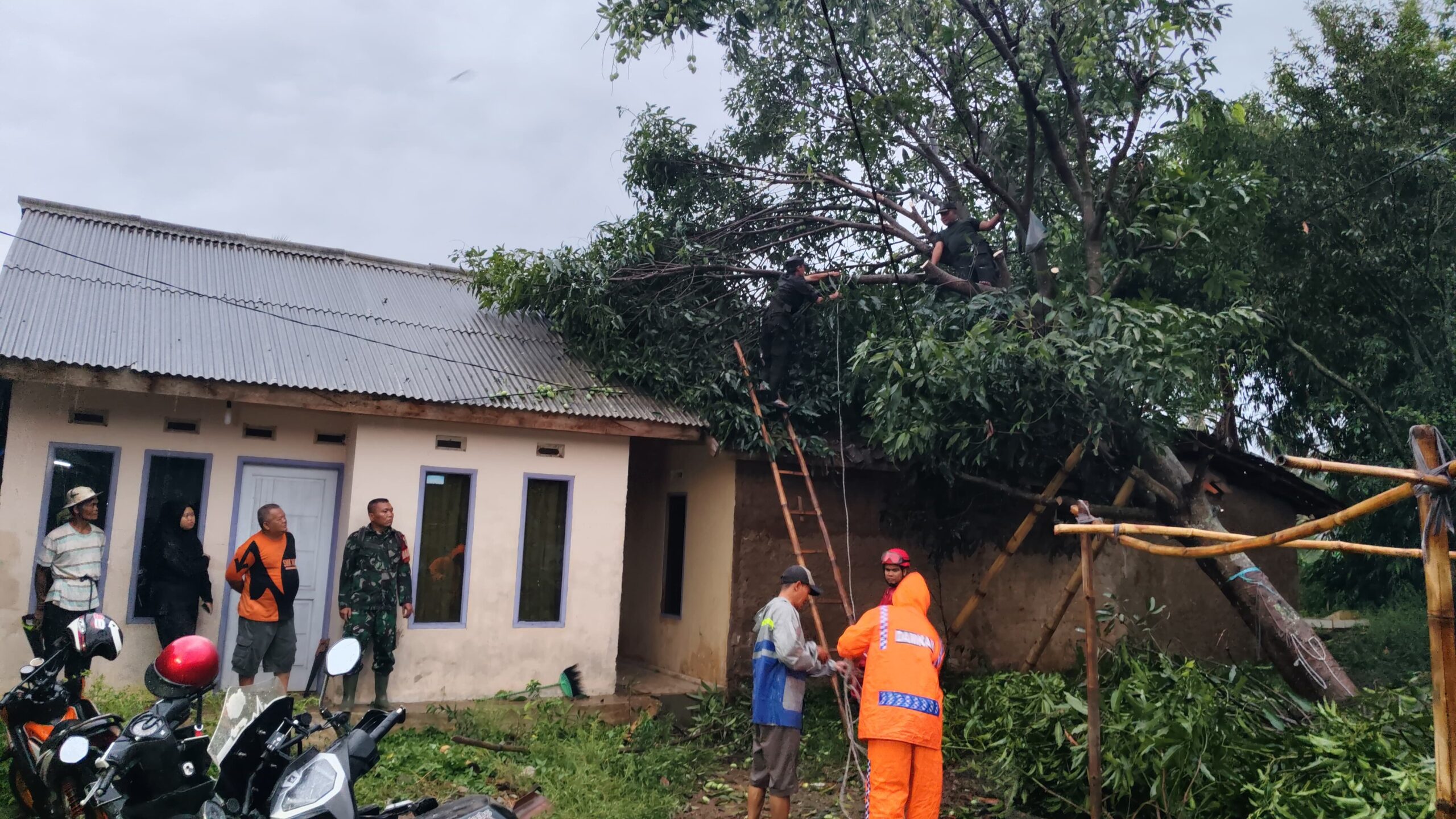 IMG 20241101 WA0035 scaled