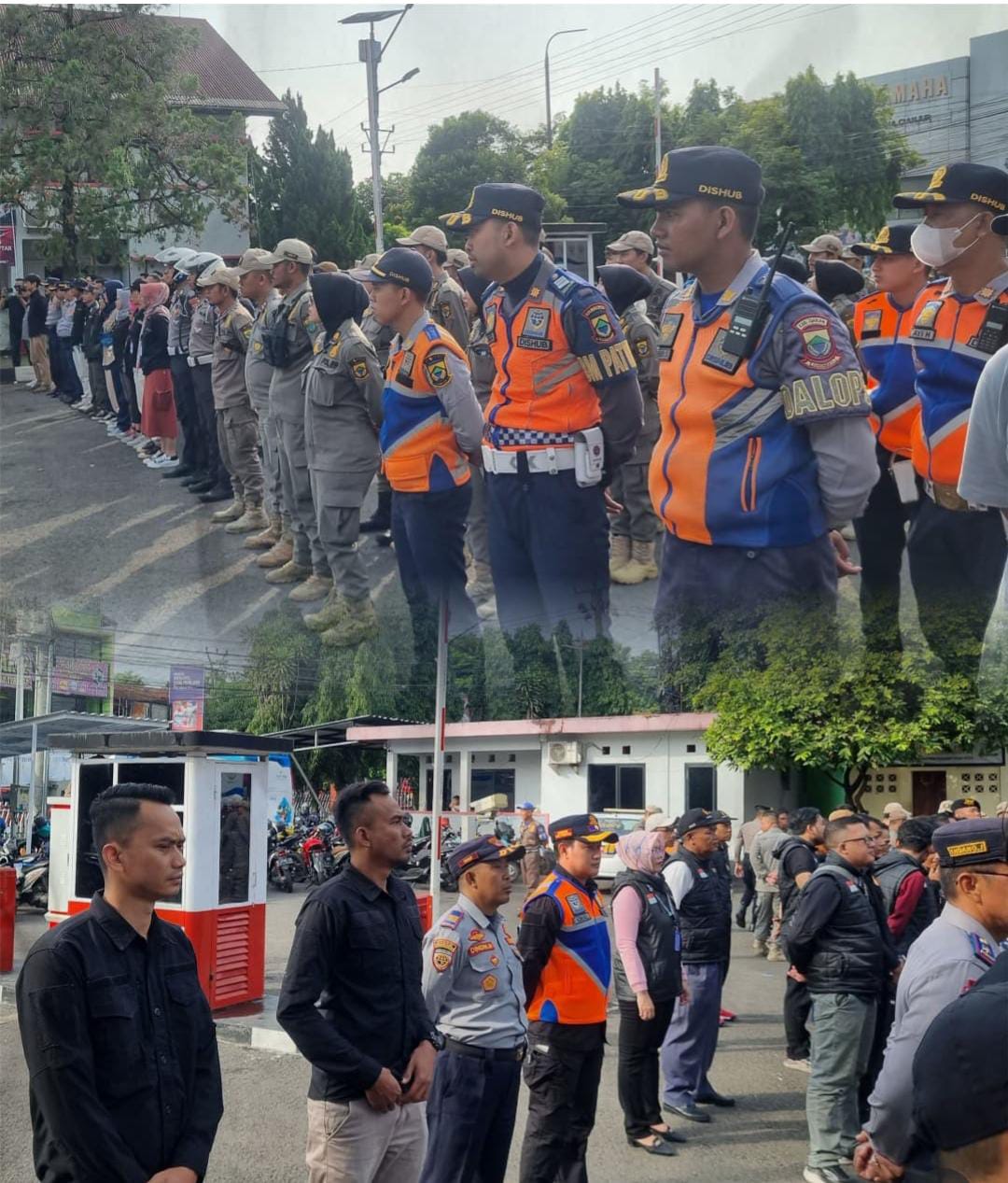 WhatsApp Image 2024 11 26 at 16.20.57