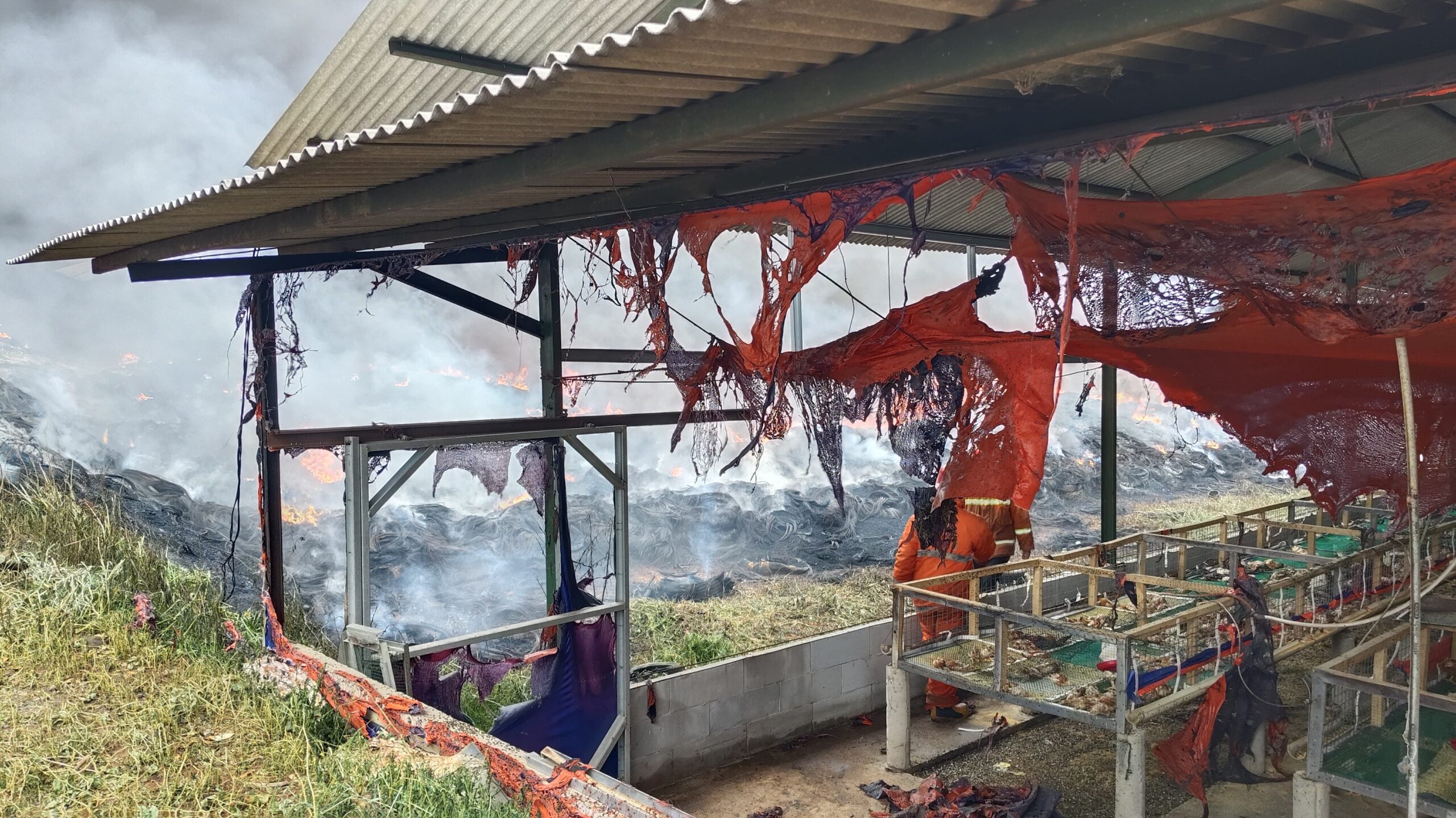 IMG 20241216 WA0064 1 scaled