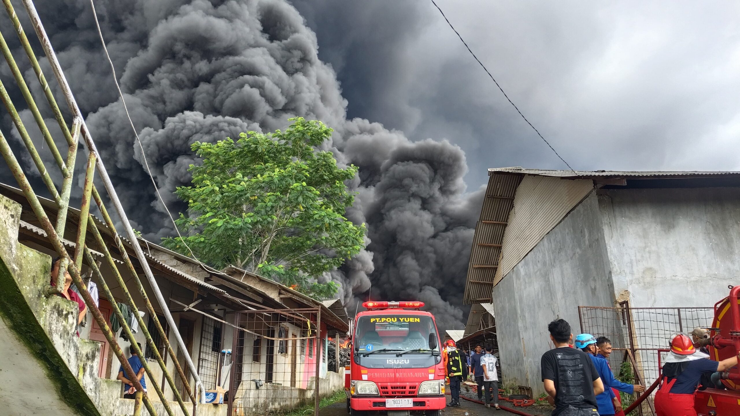 IMG 20241218 WA0053 scaled