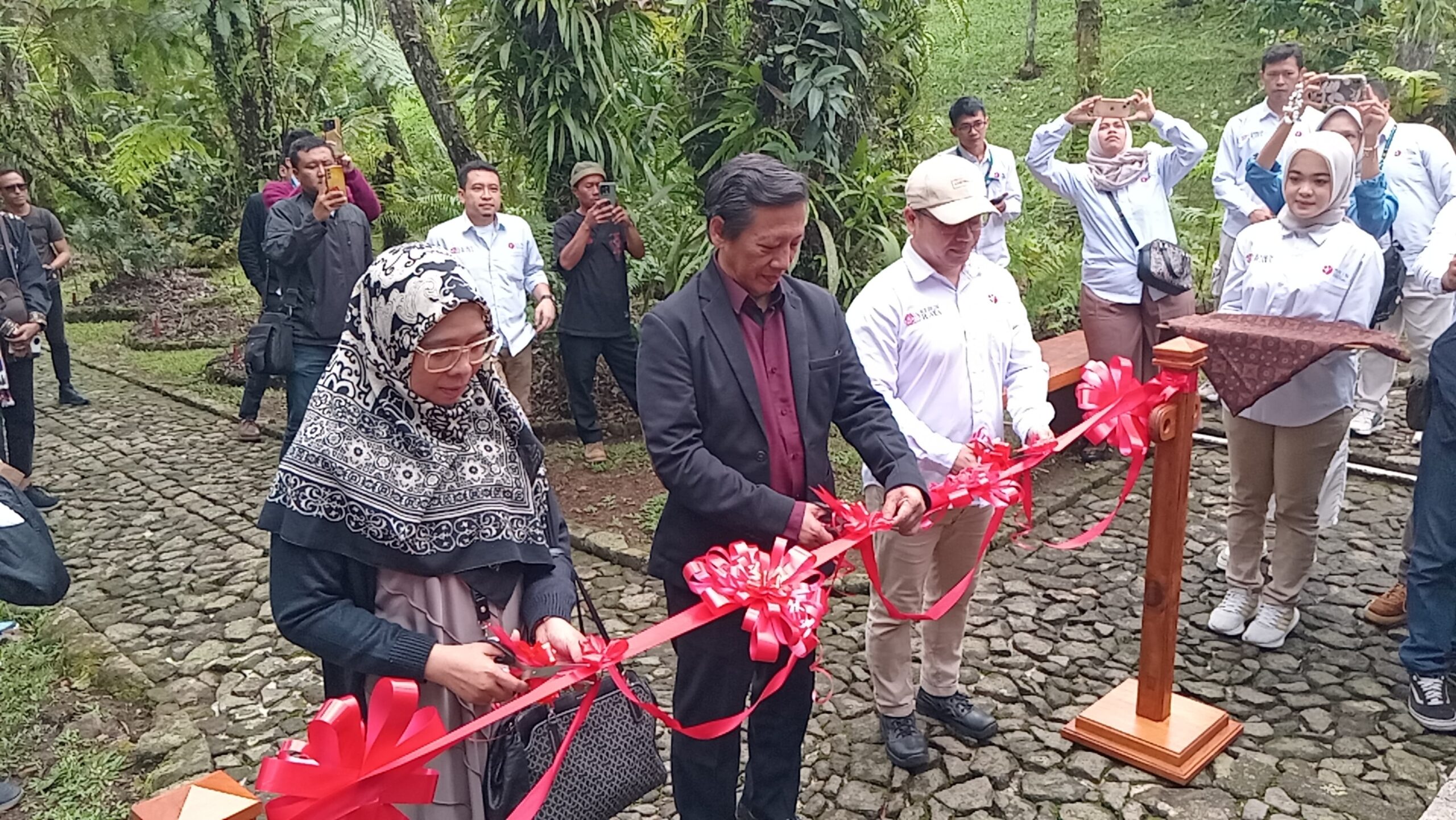 IMG 20241219 WA0004 scaled