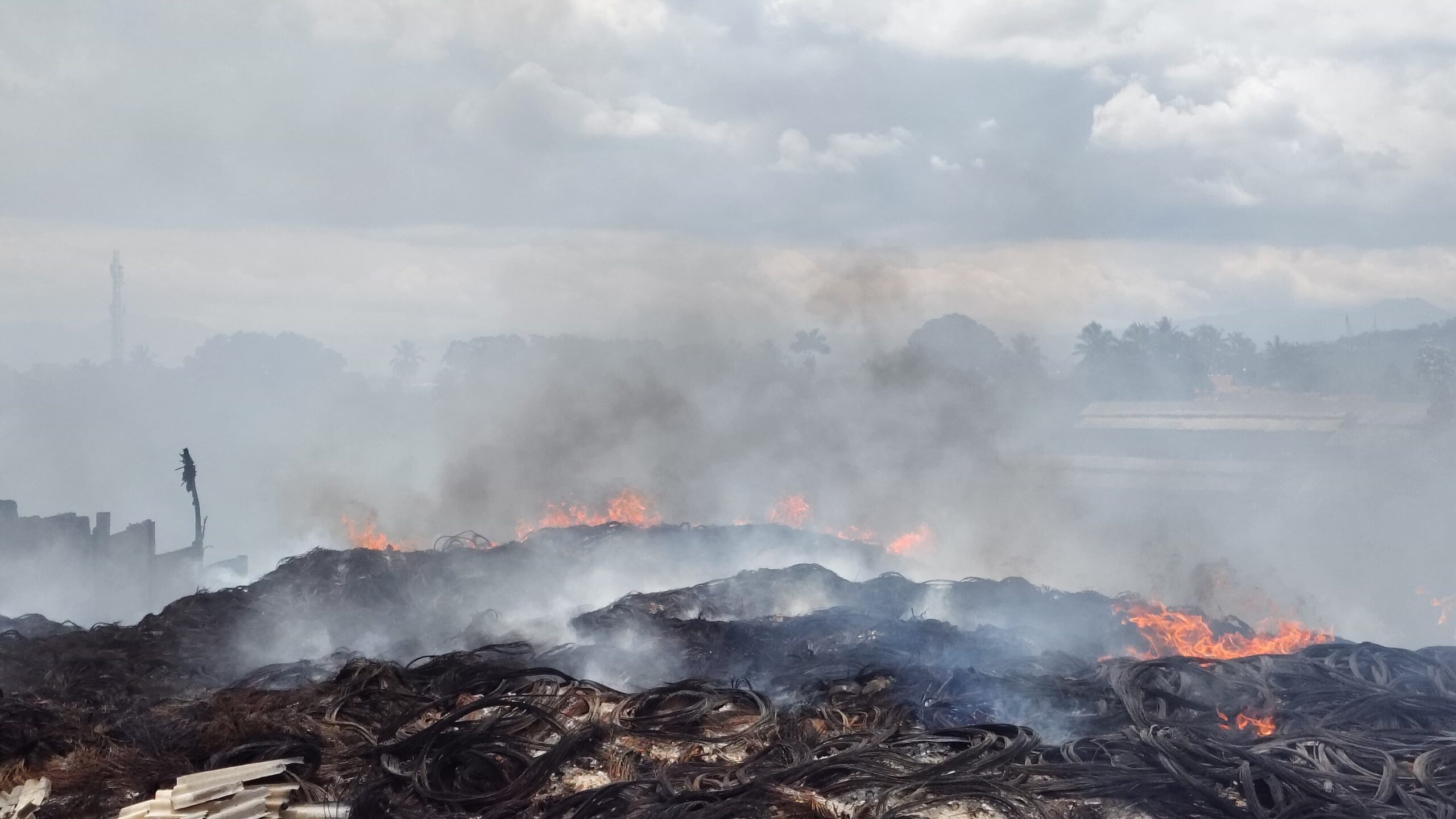 IMG 20241219 WA0115 scaled