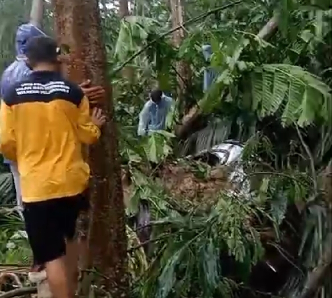 Screenshot 2024 12 04 15 36 57 144 com.miui .videoplayer edit