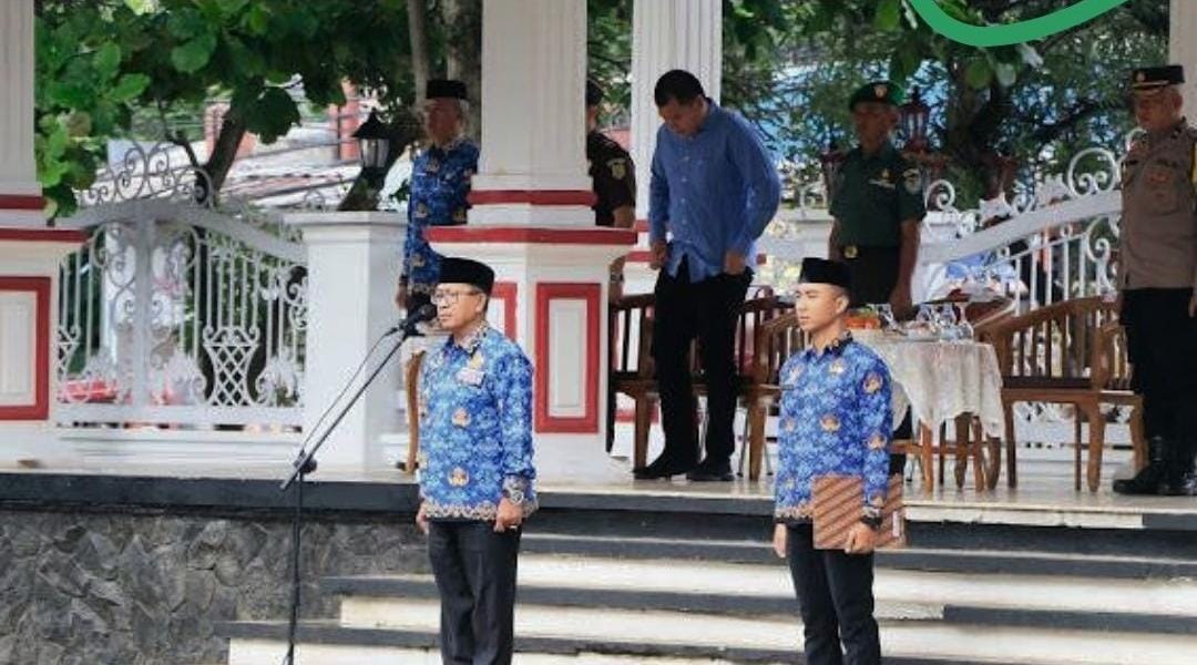 WhatsApp Image 2024 12 07 at 14.21.40