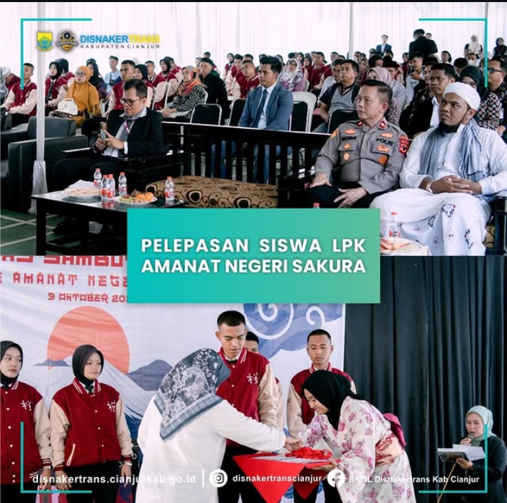 WhatsApp Image 2024 12 07 at 15.27.21