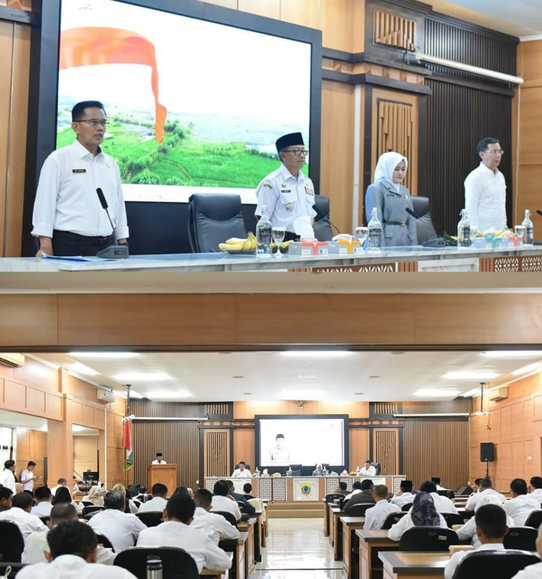 WhatsApp Image 2024 12 08 at 21.53.17