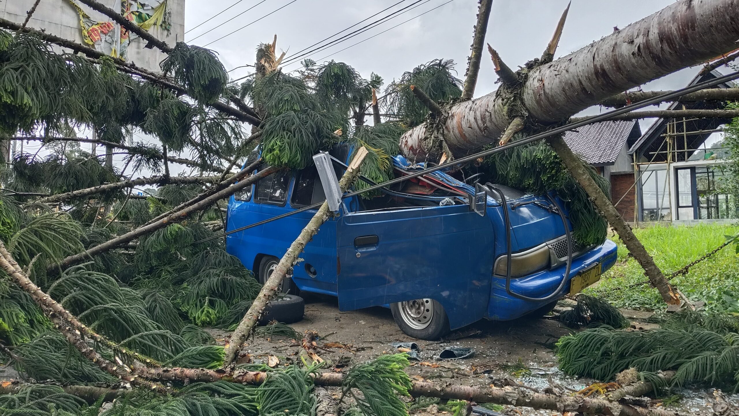 IMG 20250205 WA0078 scaled