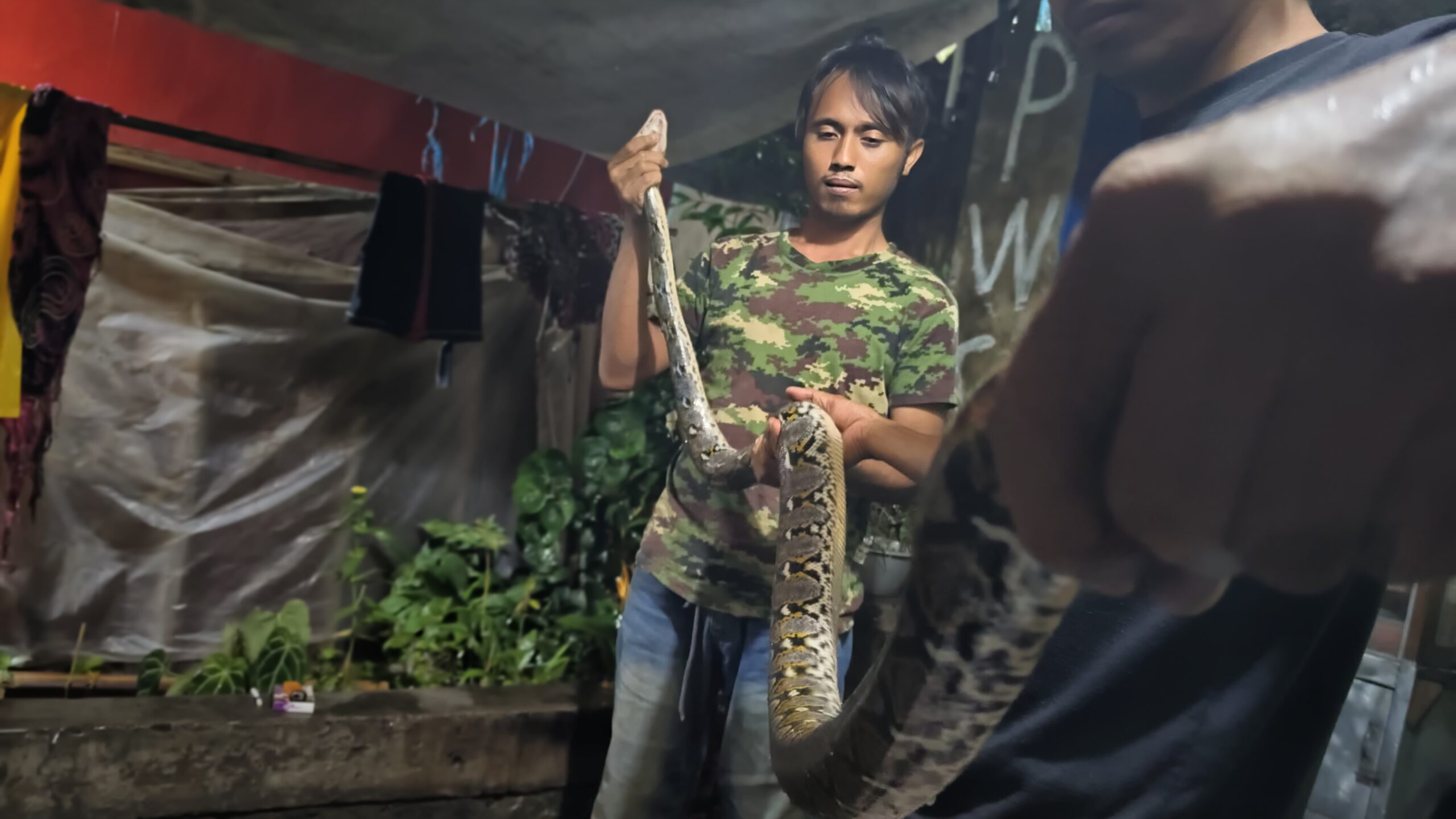 IMG 20250304 004140 scaled