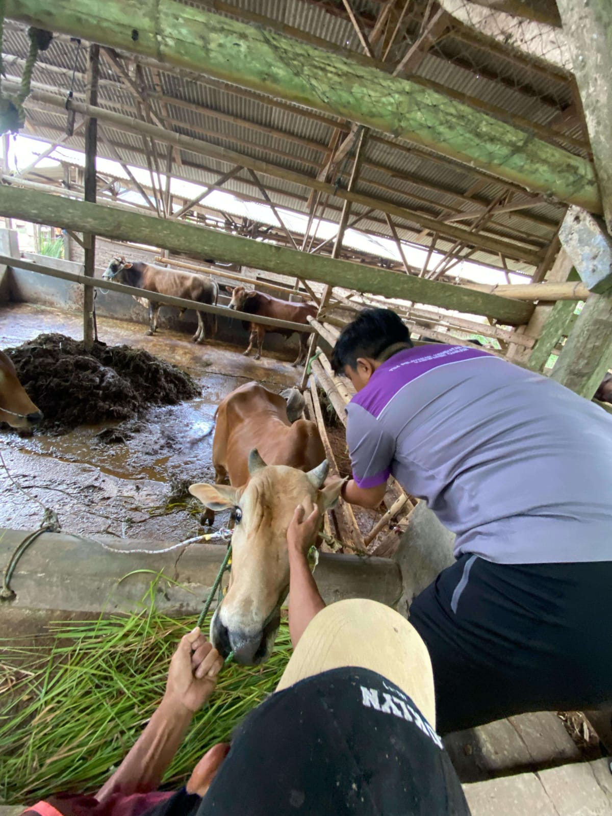 IMG 20250515 WA0026 1