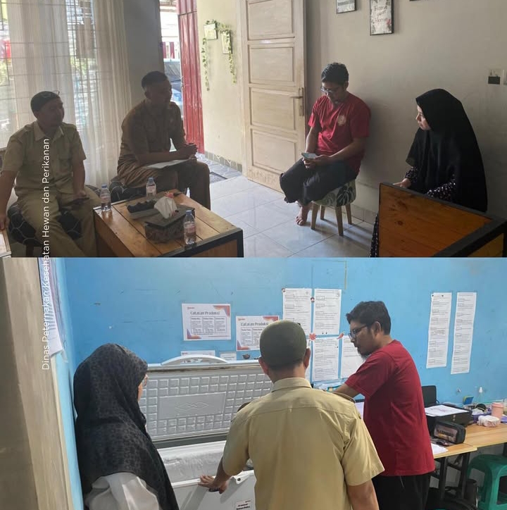 WhatsApp Image 2025 11 16 at 22.46.52