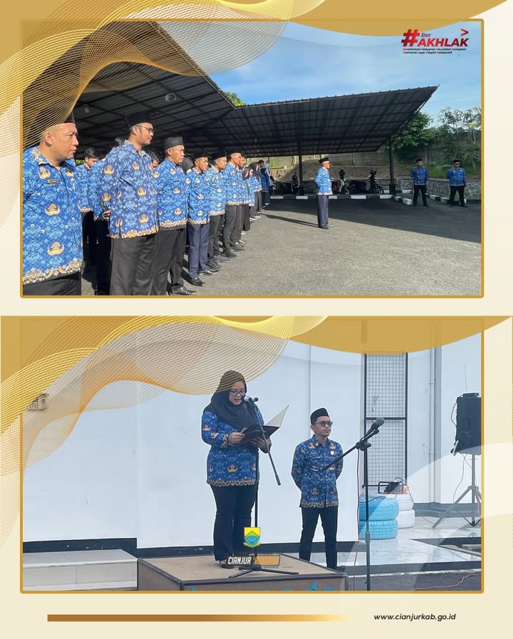 WhatsApp Image 2025 11 18 at 01.20.09