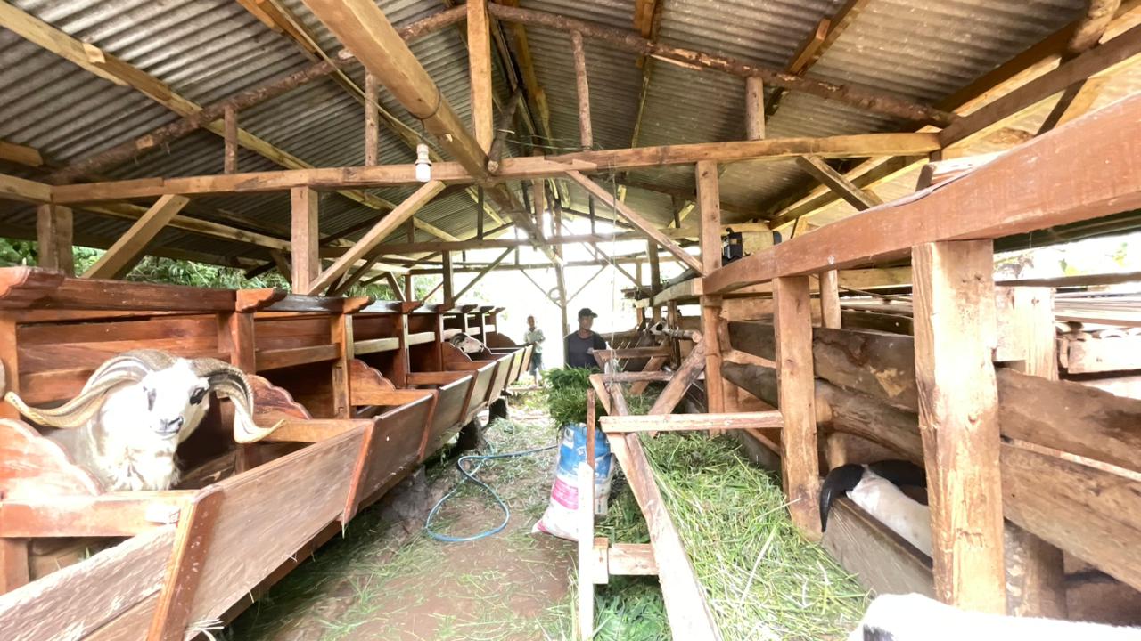 IMG 20251231 WA0007 1